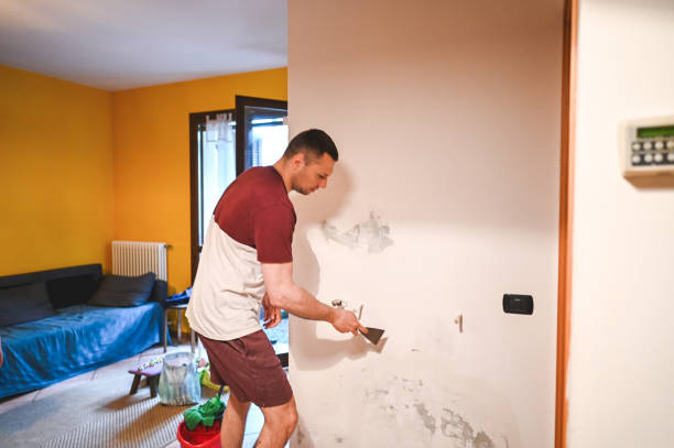 Best Attic Mold Remediation in Cold Spring, MN
